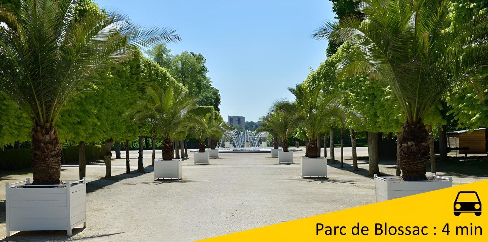 Le Delta - Centre Chu - Parking Prive - Netflix